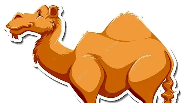 ضرب المثل با شتر