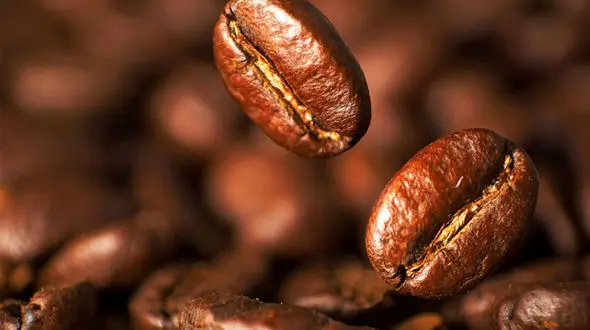 چطور قهوه مناسب را انتخاب کنیم؟ / گران‌ ترین و محبوب ترین قهوه جهان 