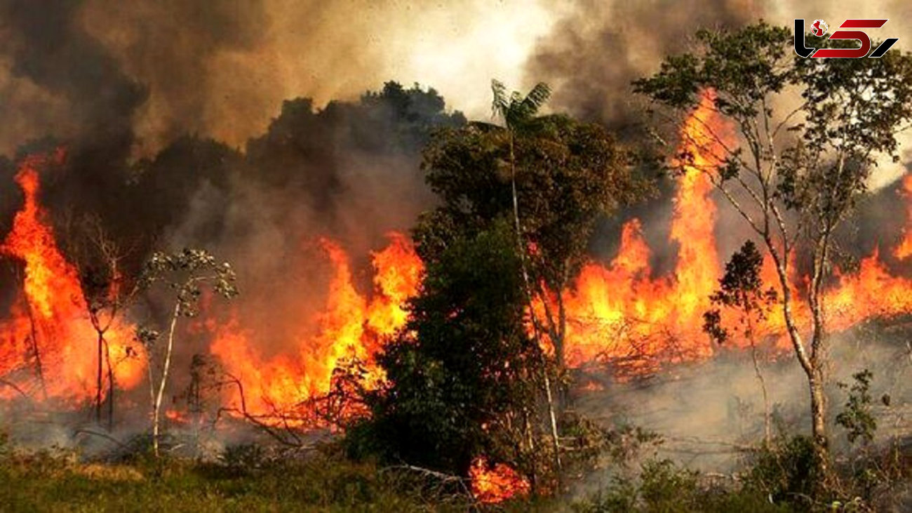 آتش به جان 213 هکتار از اراضی قزوین افتاد