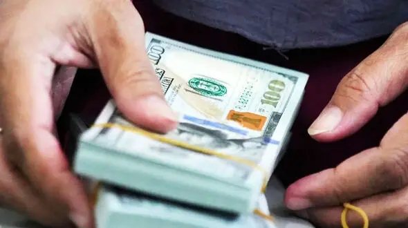 قیمت حواله دلار امروز پنجشنبه 1 مرداد  1405