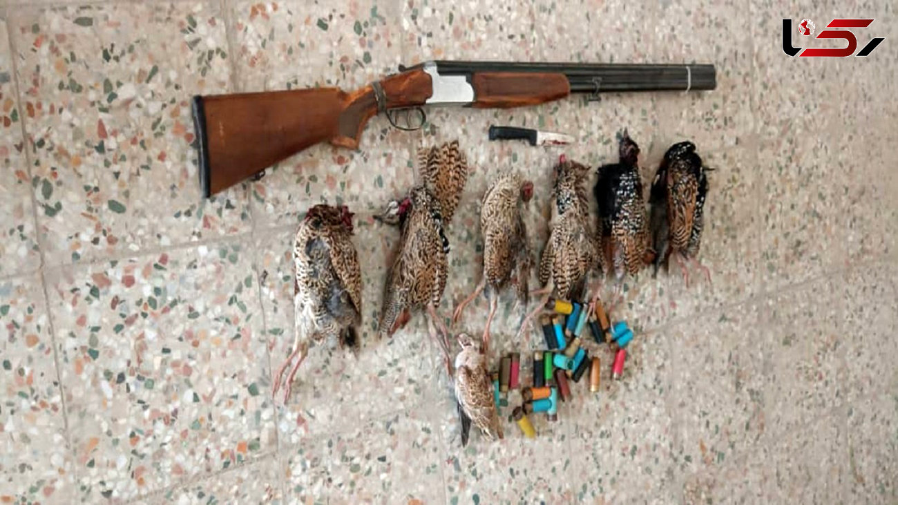 بازداشت شکارچی پرندگان وحشتی در شوشتر