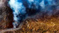 تغییر شرایط وقوع آتش‌سوزی جنگل‌ها/ پاییز و زمستان هم در آتش