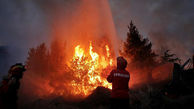 آتش سوزی مرگبار در جنگل های سیبری / 450 خانه سوخت