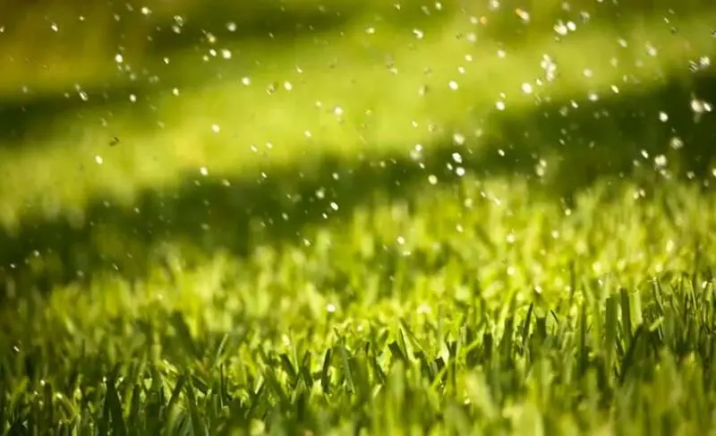 عدم اجرای سیستم زهکشی استاندارد و مشکلات ناشی از آن