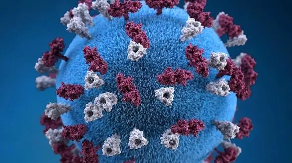 کشف ویروسی کشنده ‎تر از کرونا / این بار از قزاقستان می آید