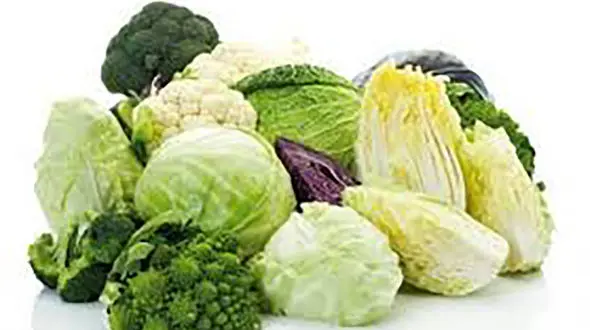 برگ کلم و کاهو ، قاتل زانودرد 