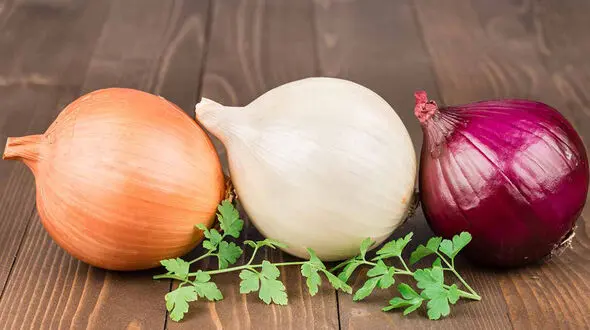 طرز تهیه غذاهای مختلف با پیاز 