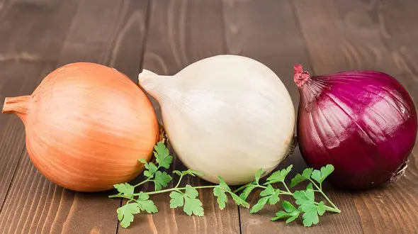 طرز تهیه غذاهای مختلف با پیاز 