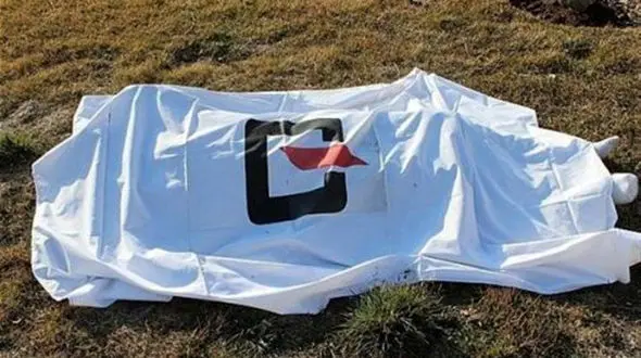 سقوط از ارتفاع جان جوان ملکانی را گرفت