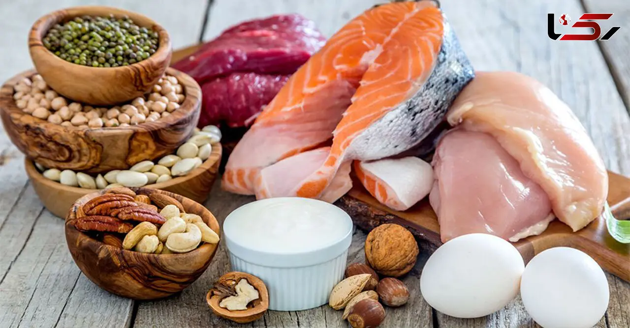 ارتباط میان پروتئین و چاقی