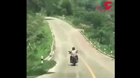 حمله مار به موتورسوار وسط جاده!+فیلم