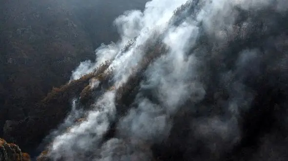 مدیر منابع طبیعی نوشهر: آتش‌سوزی‌های هیرکانی مدیریت شده و حضور نیروهای غیرمتخصص نیاز نیست/ عامل آتش سوزی انسانی است / اکثرا بلوط های خشک سوختند !/ تا 10 روز آینده در منطقه باران نداریم  + فیلم و صوت