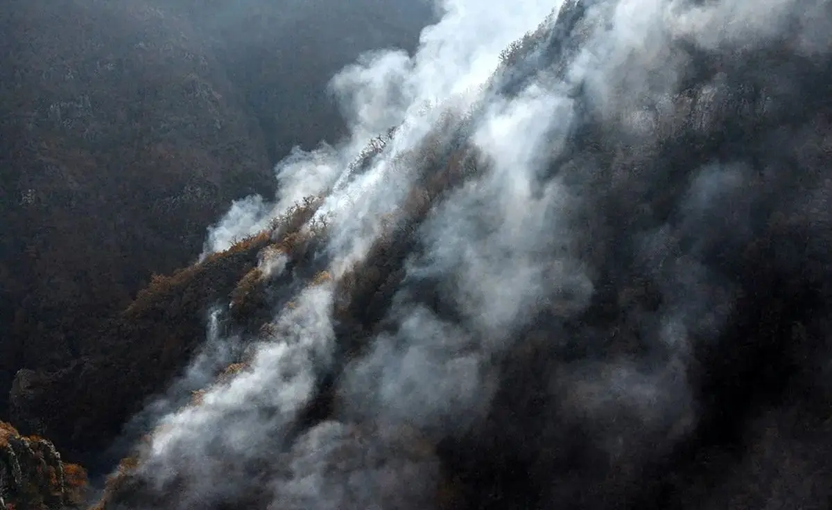 مدیر منابع طبیعی نوشهر: آتش‌سوزی‌های هیرکانی مدیریت شده و حضور نیروهای غیرمتخصص نیاز نیست/ عامل آتش سوزی انسانی است / اکثرا بلوط های خشک سوختند !/ تا 10 روز آینده در منطقه باران نداریم و صوت