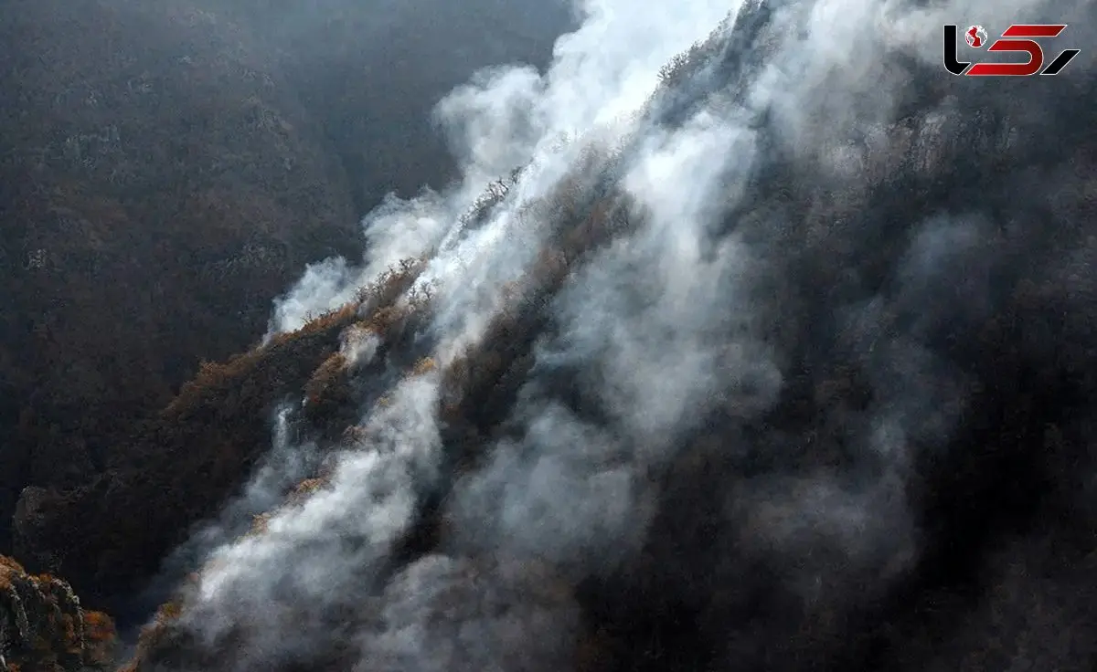 مدیر منابع طبیعی نوشهر: آتش‌سوزی‌های هیرکانی مدیریت شده و حضور نیروهای غیرمتخصص نیاز نیست/ عامل آتش سوزی انسانی است / اکثرا بلوط های خشک سوختند !/ تا 10 روز آینده در منطقه باران نداریم  + فیلم و صوت