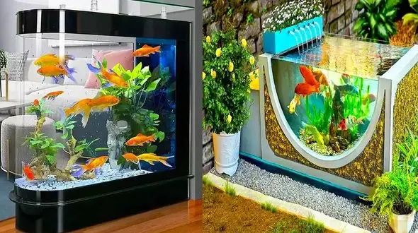 جدیدترین مدل‌های آکواریوم شیک و مدرن + لاکچری‌ ترین طرح‌ ها