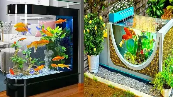 جدیدترین مدل‌های آکواریوم شیک و مدرن + لاکچری‌ ترین طرح‌ ها