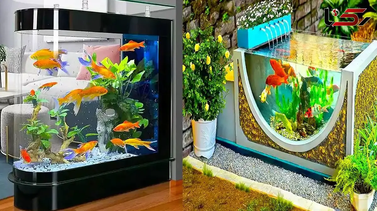 جدیدترین مدل‌های آکواریوم شیک و مدرن + لاکچری‌ ترین طرح‌ ها