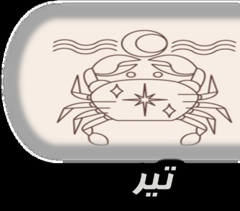 تیر