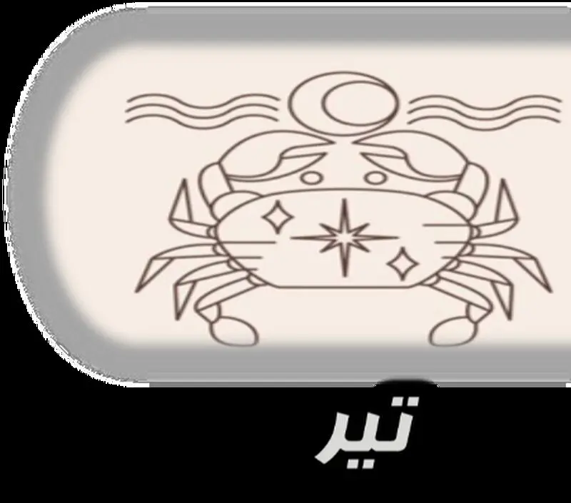 تیر