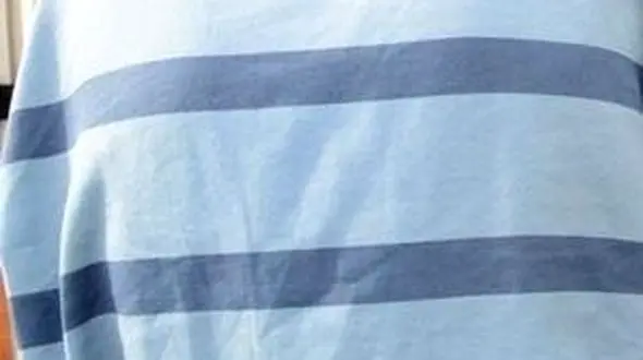 دام وکیل قلابی ، برای دارندگان پرونده های قضائی و حقوقی 