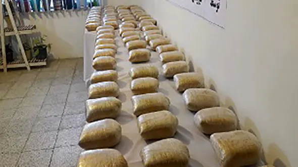 کشف 269 کیلو حشیش از خانه ای در شیراز