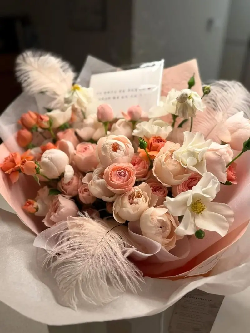 تولد سوسانو