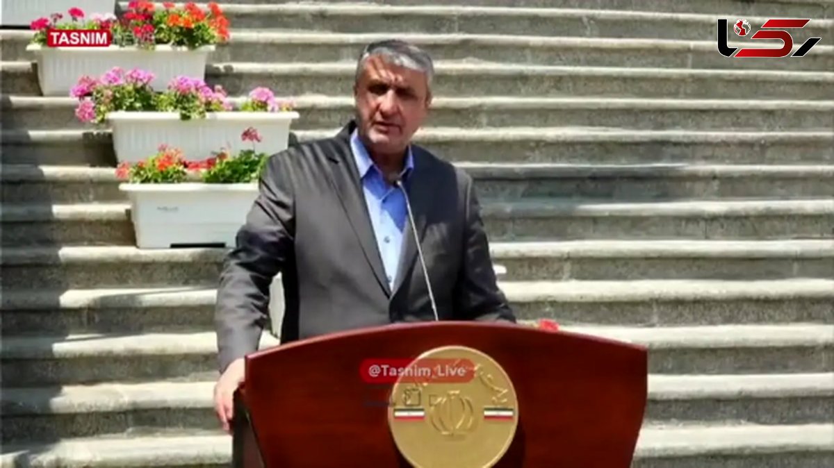 انتقاد رئیس سازمان انرژی اتمی: گزارش آژانس، سیاسی و کاملا غیر حرفه ای است