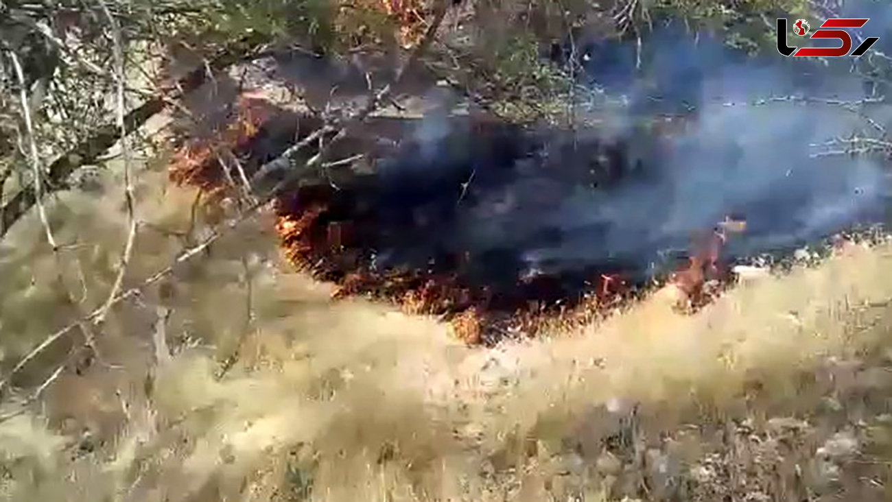 آتش‌سوزی هولناک منابع طبیعی در مبارک آباد + فیلم