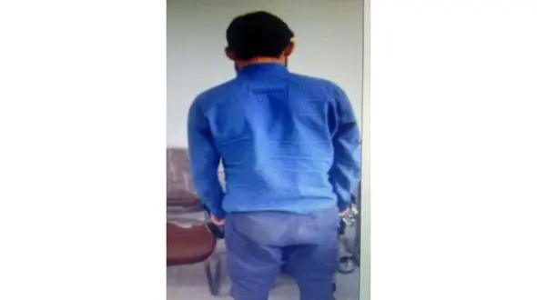 گوساله چموش دست دزد حرفه ای را روکرد