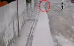 فیلم لحظه هولناک حمله گرگ گرسنه به خانم معلم خلخالی + گفتگو با 2 زن حادثه دیده