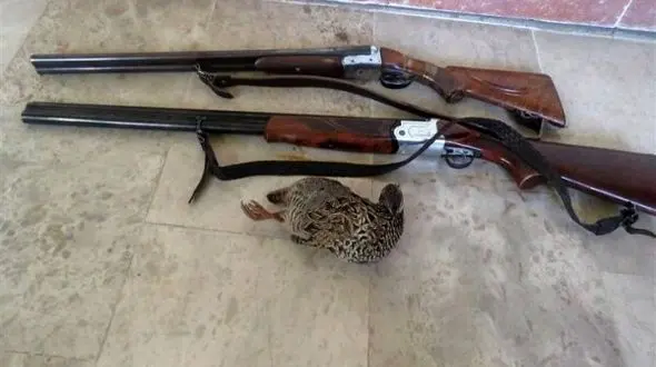 دستگیری 4 شکارچی متخلف در ملکشاهی