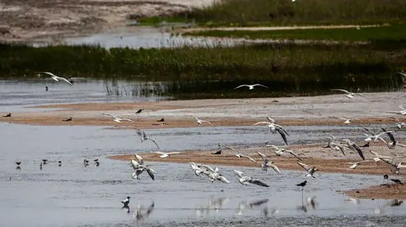 تالاب‌ های چهارمحال‌ و بختیاری از جاذبه های گردشگری در نوروز + عکس