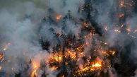 مهار آتش سوزی در منطقه حفاظت شده گنو