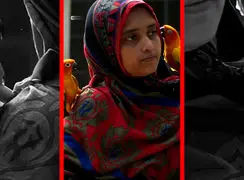 فیلم موفقیت یک زن روستایی در شبکه های اجتماعی