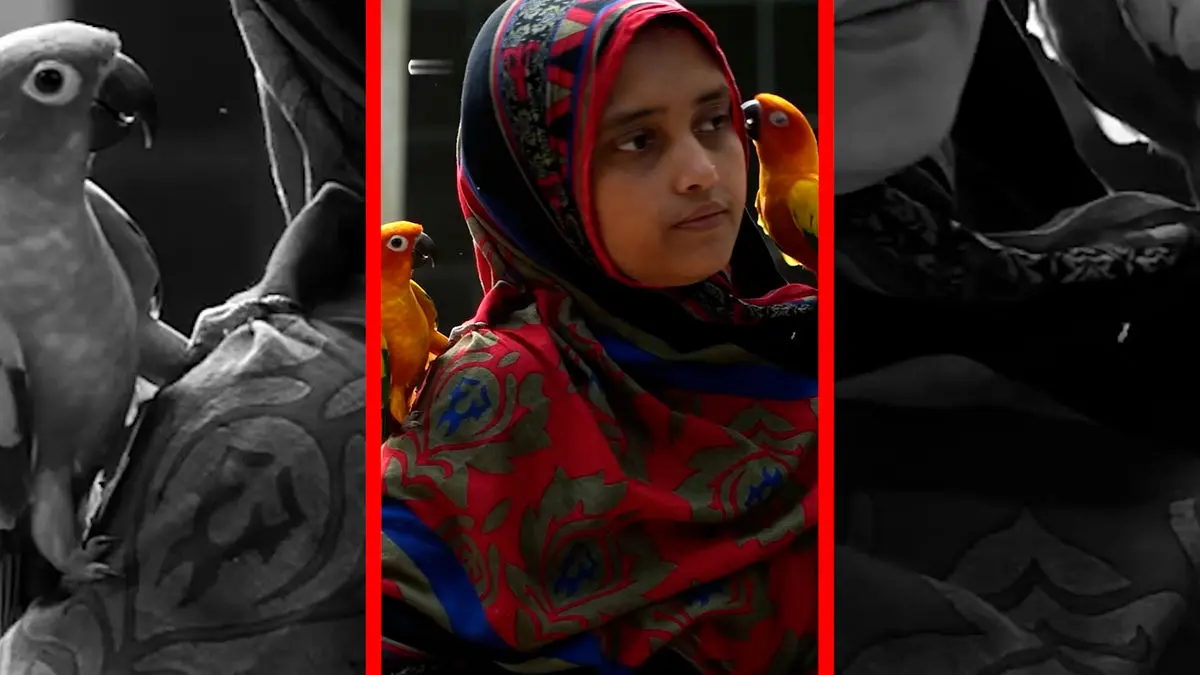 فیلم موفقیت یک زن روستایی در شبکه های اجتماعی