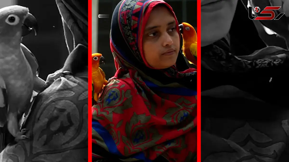 فیلم موفقیت یک زن روستایی در شبکه های اجتماعی