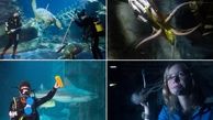صحنه های زیبا از برس کشیدن موجودات دریایی توسط غواصان+ گزارش تصویری