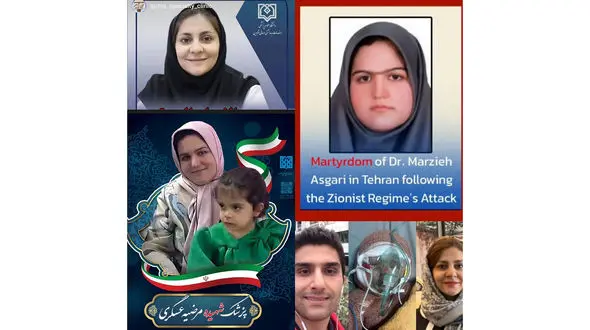 پیام تسلیت وزیر بهداشت به خانواده داغدار تیم سلامت کشور