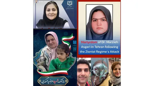 پیام تسلیت وزیر بهداشت به خانواده داغدار تیم سلامت کشور