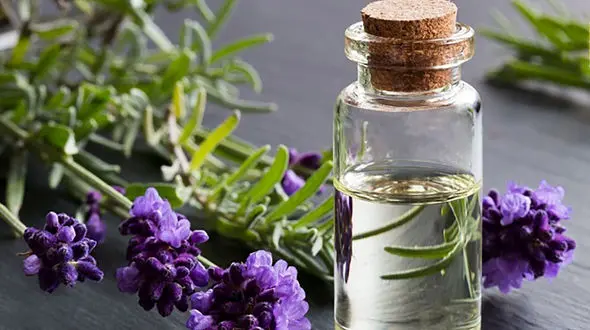 روغن‌های موثر در تقویت مو