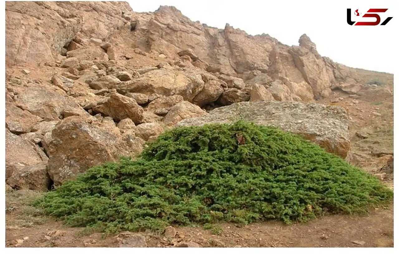 تکمیل بانک اطلاعاتی ۴۰ غار در اردبیل