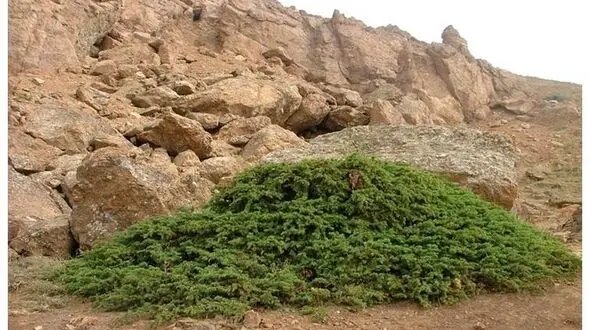 تکمیل بانک اطلاعاتی ۴۰ غار در اردبیل