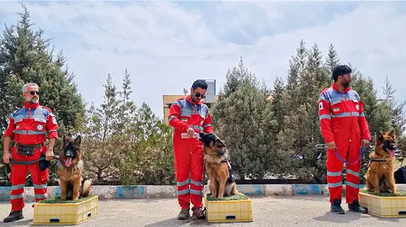 وقتی «سزار» سگ جست و جوگر هلال احمر انسان زیر آوار را پیدا کرد + فیلم