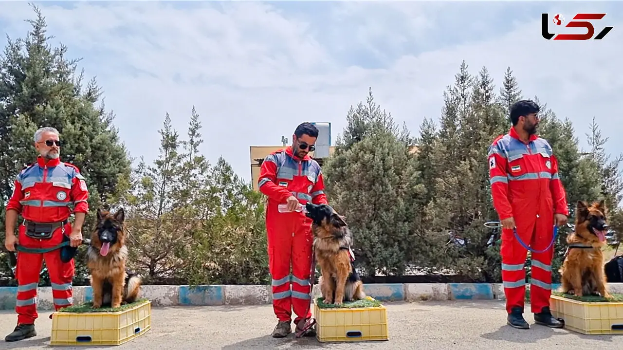 وقتی «سزار» سگ جست و جوگر هلال احمر انسان زیر آوار را پیدا کرد + فیلم