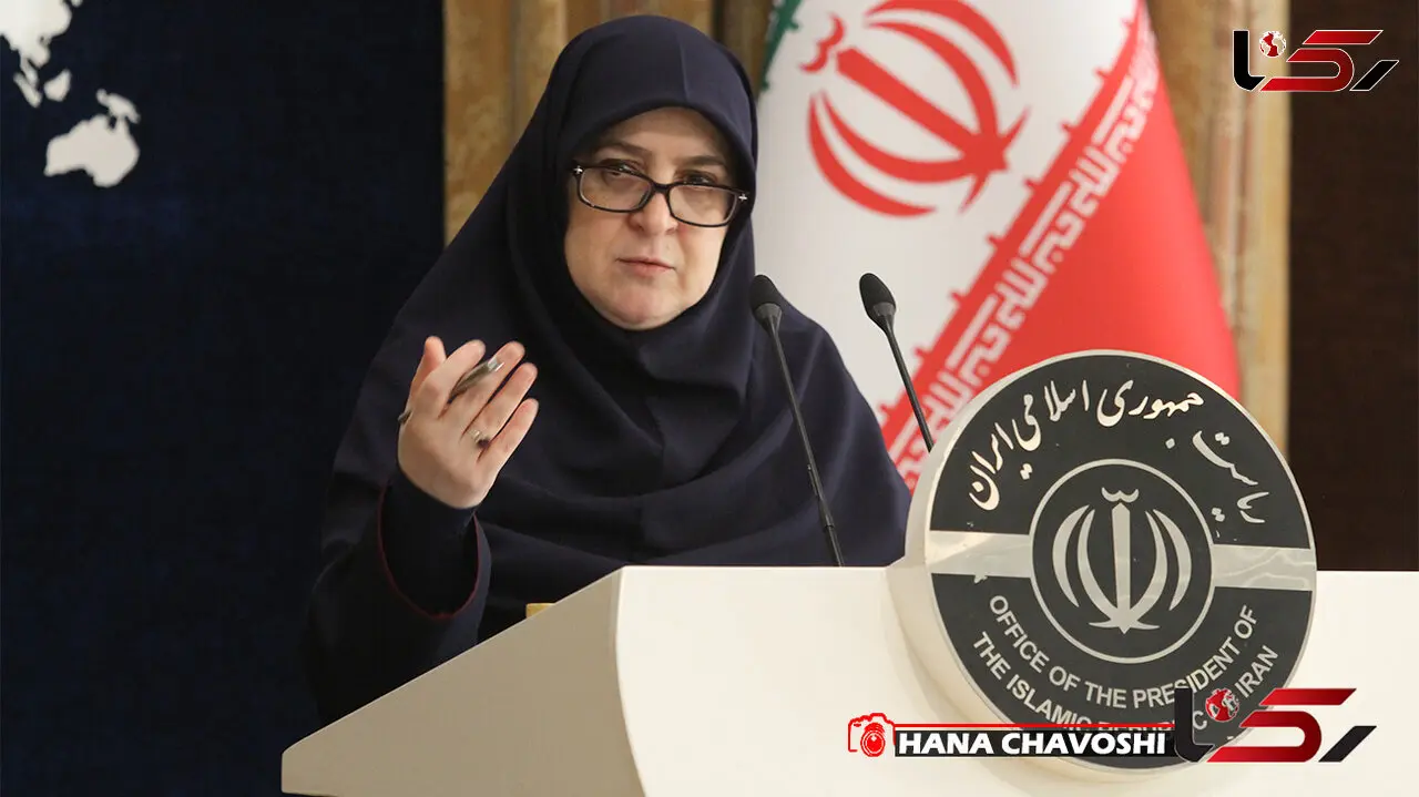 فاطمه مهاجرانی به طرح اظهاراتی درباره افزایش قیمت حامل‌های انرژی در سال 1404 واکنش نشان داد