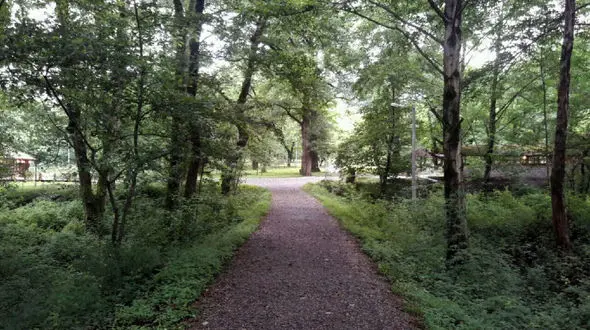 پیدا شدن دختر گمشده در جنگل دشت شاد کالپوش میامی 