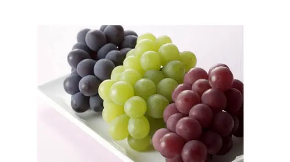 با این میوه بهشتی از آلزایمر دور می مانید