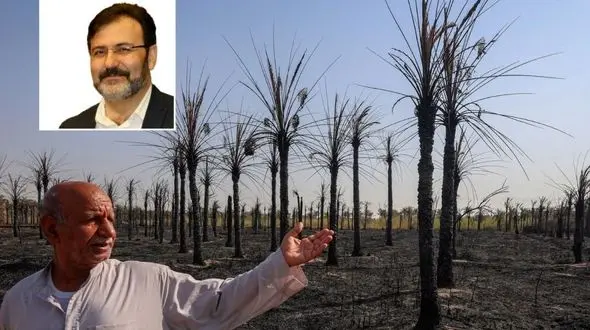 100درصد نخل های آبادان، شادگان و خرمشهر در آستانه مرگ / ۷۰ درصد رودخانه‌های کشور به درجات مختلف دچار آلودگی شده‌اند/ نخل های جوان باید کاشته شود + فیلم