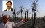 100درصد نخل های آبادان، شادگان و خرمشهر در آستانه مرگ / ۷۰ درصد رودخانه‌های کشور به درجات مختلف دچار آلودگی شده‌اند/ نخل های جوان باید کاشته شود + فیلم