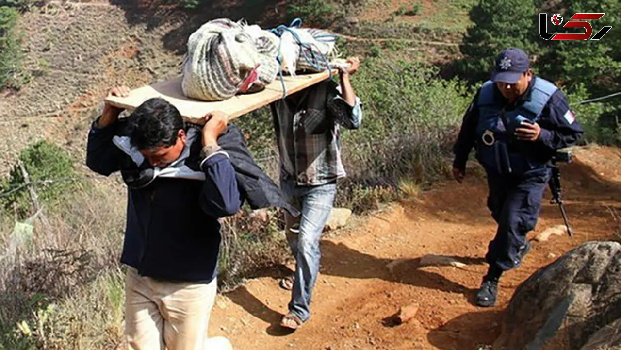 کشته شدن 35 قاچاقچی مواد مخدر در مکزیک
